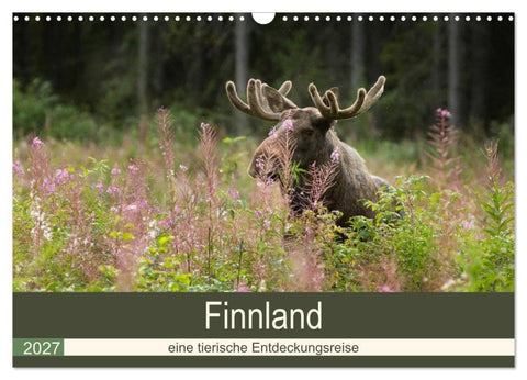 Finnland: eine tierische Entdeckungsreise (Wandkalender 2027 DIN A3 quer), CALVENDO Monatskalender
