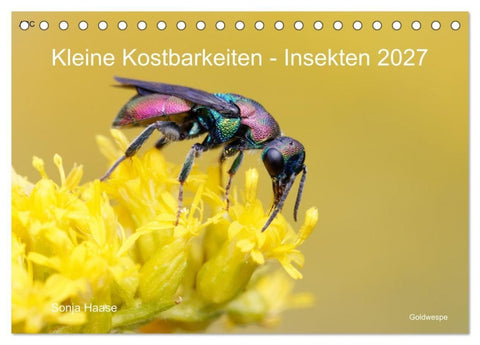Kleine Kostbarkeiten Insekten (Tischkalender 2027 DIN A5 quer), CALVENDO Monatskalender