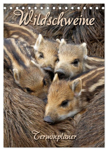 Wildschweine (Tischkalender 2026 DIN A5 hoch), CALVENDO Monatskalender