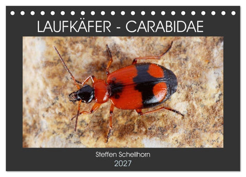 LAUFKÄFER - CARABIDAE (Tischkalender 2027 DIN A5 quer), CALVENDO Monatskalender