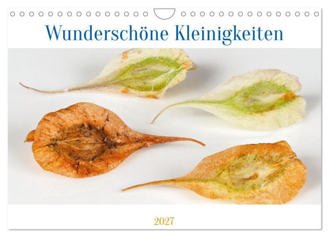 Wunderschöne Kleinigkeiten (Wandkalender 2027 DIN A4 quer), CALVENDO Monatskalender