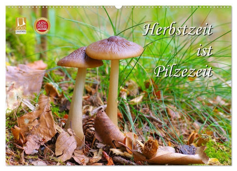 Herbstzeit ist Pilzezeit (Wandkalender 2027 DIN A2 quer), CALVENDO Monatskalender