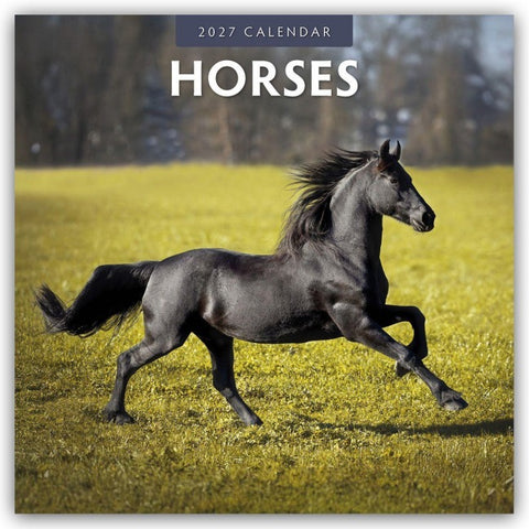 Horses – Pferde 2027 – 16-Monatskalender