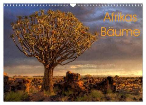 Afrikas Bäume (Wandkalender 2027 DIN A3 quer), CALVENDO Monatskalender