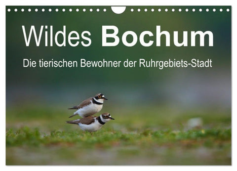Wildes Bochum (Wandkalender 2027 DIN A4 quer), CALVENDO Monatskalender