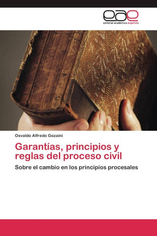Garantías, principios y reglas del proceso civil
