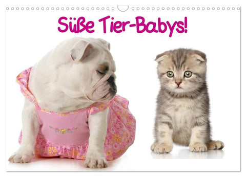 Süße Tier-Babys! (Wandkalender 2027 DIN A3 quer), CALVENDO Monatskalender