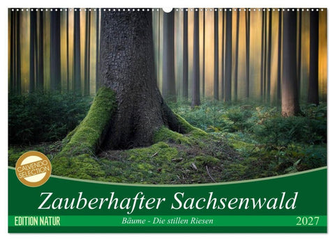 Zauberhafter Sachsenwald (Wandkalender 2027 DIN A2 quer), CALVENDO Monatskalender