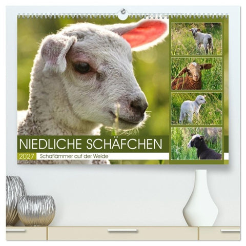 Niedliche Schäfchen (hochwertiger Premium Wandkalender 2027 DIN A2 quer), Kunstdruck in Hochglanz