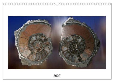 Versteinerte Welt (Wandkalender 2027 DIN A3 quer), CALVENDO Monatskalender