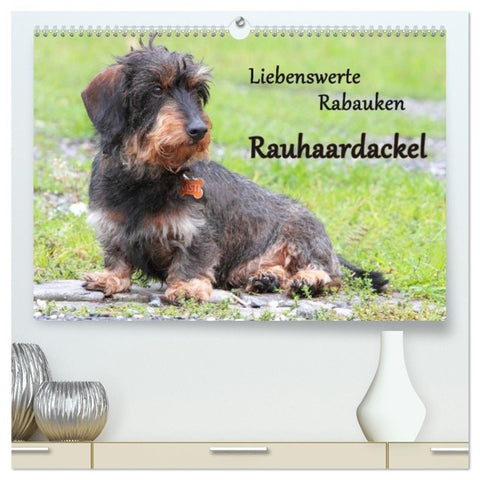 Liebenswerte Rabauken Rauhaardackel / CH-Version (hochwertiger Premium Wandkalender 2027 DIN A2 quer), Kunstdruck in Hochglanz