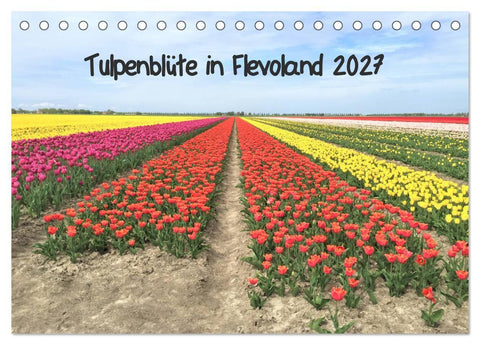 Tulpenblüte in Flevoland 2027 (Tischkalender 2027 DIN A5 quer), CALVENDO Monatskalender