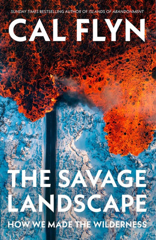 SAVAGE LANDSCAPE PB