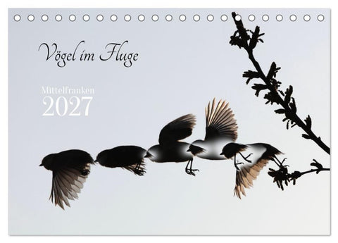 Vögel im Fluge (Tischkalender 2027 DIN A5 quer), CALVENDO Monatskalender