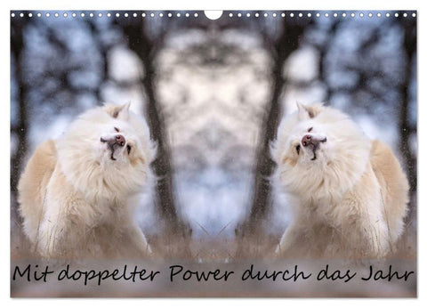 Mit doppelter Power durch das Jahr (Wandkalender 2027 DIN A3 quer), CALVENDO Monatskalender