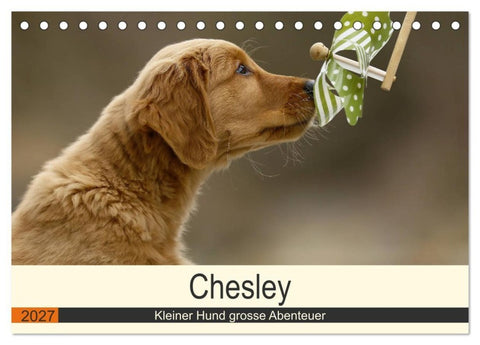 Chesley Kleiner Hund grosse Abenteuer (Tischkalender 2027 DIN A5 quer), CALVENDO Monatskalender