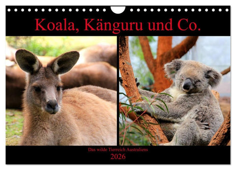 Koala, Känguru und Co. – Das wilde Tierreich Australiens (Wandkalender 2026 DIN A4 quer), CALVENDO Monatskalender