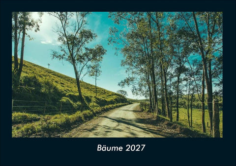 Bäume 2027 Fotokalender DIN A4