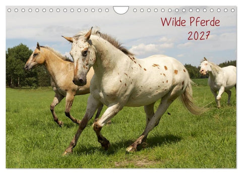 Wilde Pferde (Wandkalender 2027 DIN A4 quer), CALVENDO Monatskalender