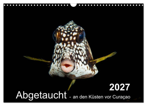 Abgetaucht - an den Küsten vor Curaçao (Wandkalender 2027 DIN A3 quer), CALVENDO Monatskalender