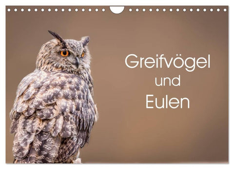 Greifvögel und Eulen (Wandkalender 2027 DIN A4 quer), CALVENDO Monatskalender