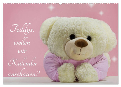 Teddys, wollen wir Kalender anschauen? (Wandkalender 2026 DIN A2 quer), CALVENDO Monatskalender