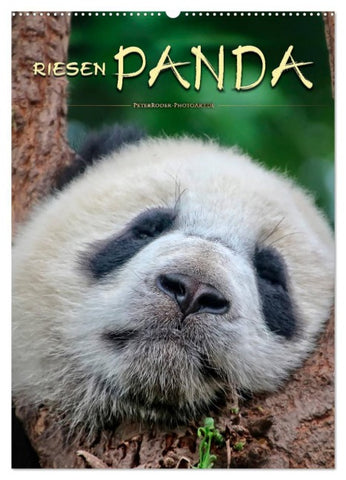 Riesenpanda (Wandkalender 2026 DIN A2 hoch), CALVENDO Monatskalender