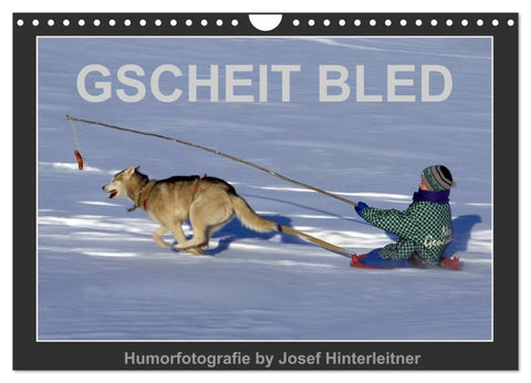 GSCHEIT BLED - Humorfotografie (Wandkalender 2026 DIN A4 quer), CALVENDO Monatskalender