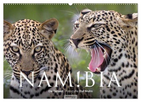 Namibia - Die Tierwelt (Wandkalender 2027 DIN A2 quer), CALVENDO Monatskalender