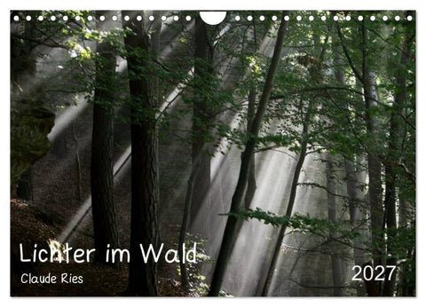 Lichter im Wald (Wandkalender 2027 DIN A4 quer), CALVENDO Monatskalender