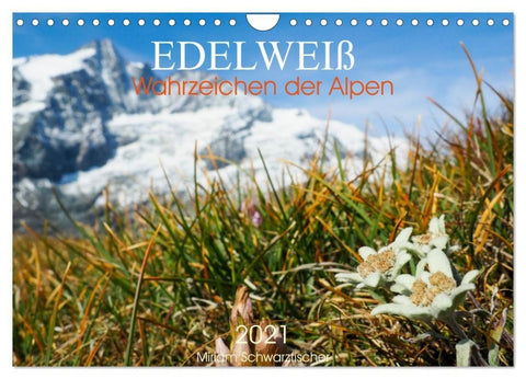 Edelweiß - Wahrzeichen der Alpen (Wandkalender 2027 DIN A4 quer), CALVENDO Monatskalender
