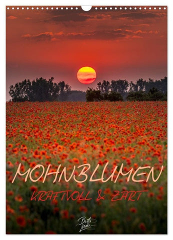 Mohnblumen - kraftvoll und zart (Wandkalender 2027 DIN A3 hoch), CALVENDO Monatskalender