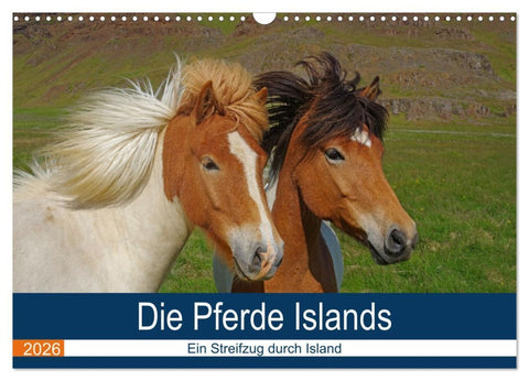 Die Pferde Islands - Ein Streifzug durch Island (Wandkalender 2026 DIN A3 quer), CALVENDO Monatskalender