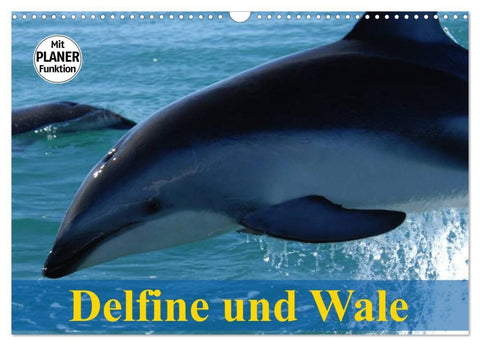 Delfine und Wale (Wandkalender 2026 DIN A3 quer), CALVENDO Monatskalender