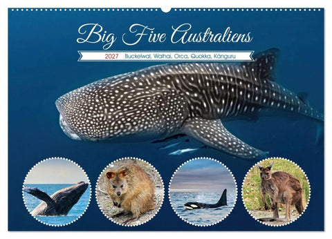 Big Five Australiens Buckelwal, Walhai, Orca, Quokka,Känguru (Wandkalender 2027 DIN A2 quer), CALVENDO Monatskalender