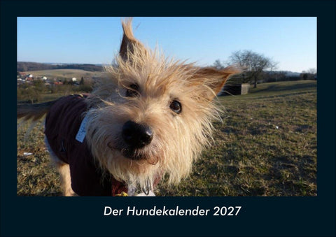 Der Hundekalender 2027 Fotokalender DIN A4