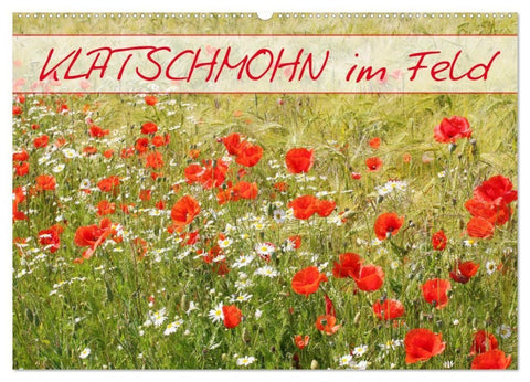 Klatschmohn im Feld (Wandkalender 2027 DIN A2 quer), CALVENDO Monatskalender