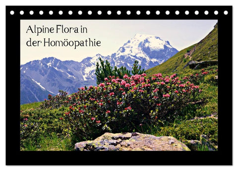 Alpine Flora in der Homöopathie (Tischkalender 2027 DIN A5 quer), CALVENDO Monatskalender