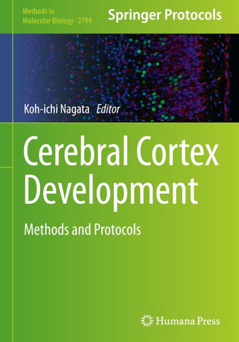 Cerebral Cortex Development