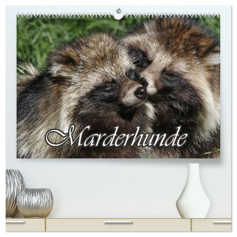 Marderhunde (hochwertiger Premium Wandkalender 2027 DIN A2 quer), Kunstdruck in Hochglanz