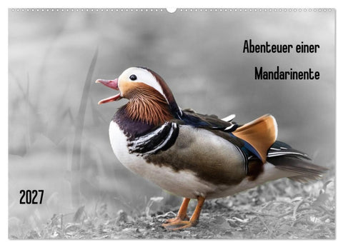 Abenteuer einer Mandarinente (Wandkalender 2027 DIN A2 quer), CALVENDO Monatskalender