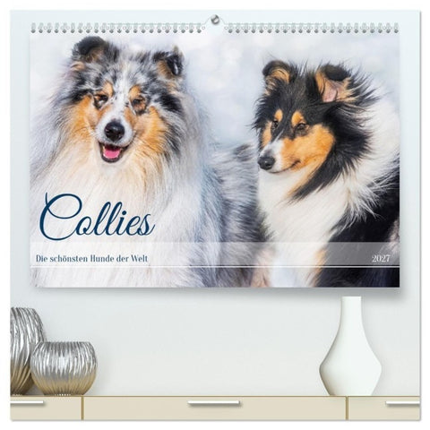Collies - die schönsten Hunde der Welt (hochwertiger Premium Wandkalender 2027 DIN A2 quer), Kunstdruck in Hochglanz