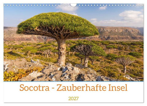Socotra - Zauberhafte Insel (Wandkalender 2027 DIN A3 quer), CALVENDO Monatskalender