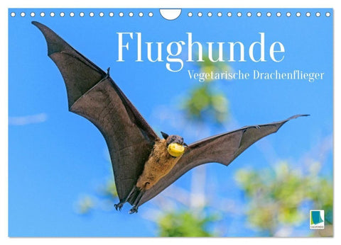 Flughunde: Vegetarische Drachenflieger (Wandkalender 2027 DIN A4 quer), CALVENDO Monatskalender