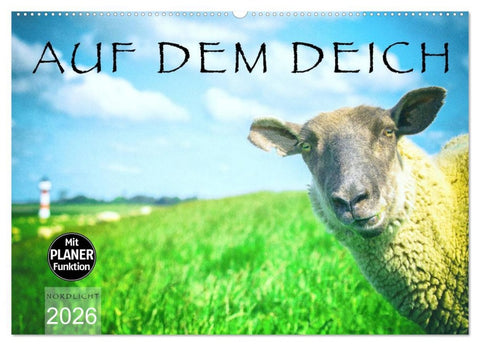 AUF DEM DEICH (Wandkalender 2026 DIN A2 quer), CALVENDO Monatskalender