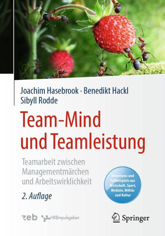 Team-Mind und Teamleistung