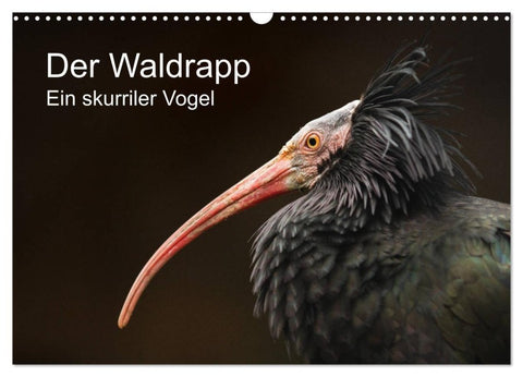 Der Waldrapp - Ein skurriler Vogel (Wandkalender 2027 DIN A3 quer), CALVENDO Monatskalender
