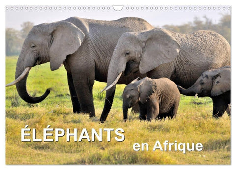 Éléphants en Afrique (Calendrier mural 2027 DIN A3 vertical), CALVENDO calendrier mensuel