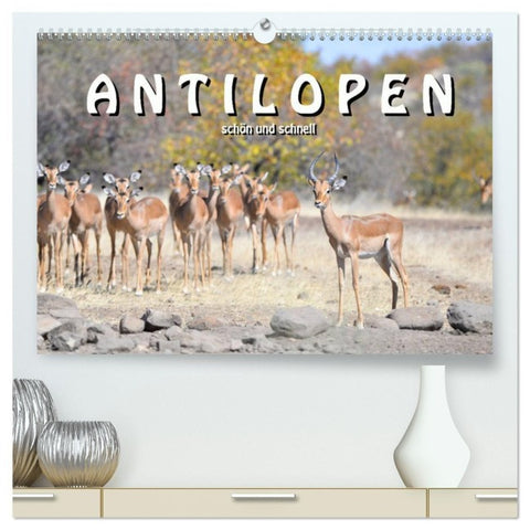 Antilopen, schön und schnell (hochwertiger Premium Wandkalender 2027 DIN A2 quer), Kunstdruck in Hochglanz
