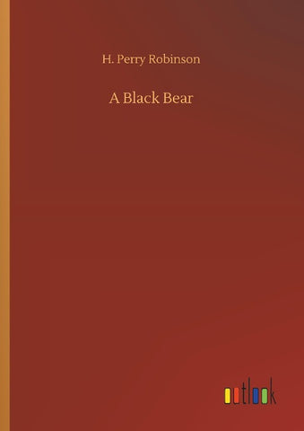 A Black Bear